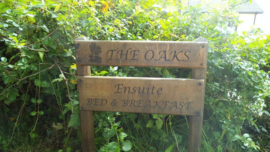 The Oaks Bed & Breakfast Witheridge Dış mekan fotoğraf
